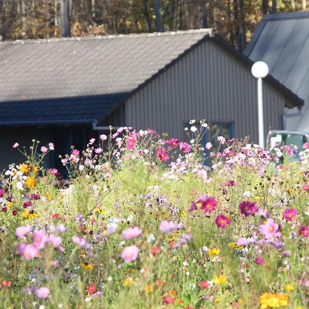 Bude 87 By Interhome * Bad Arolsen