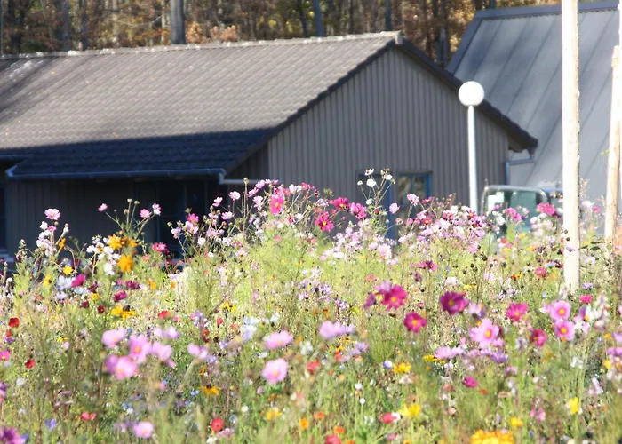 Bude 87 By Interhome * Bad Arolsen